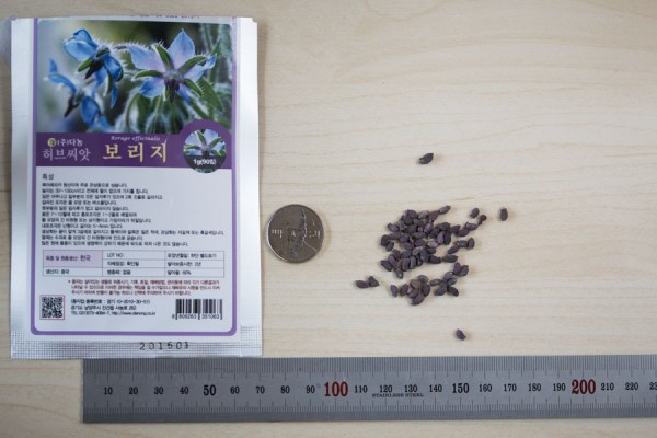 seed-01