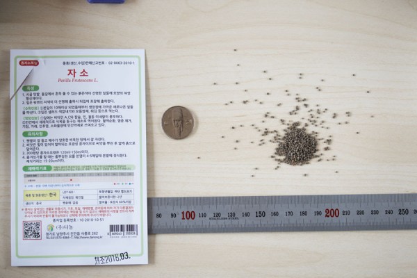 seed-03