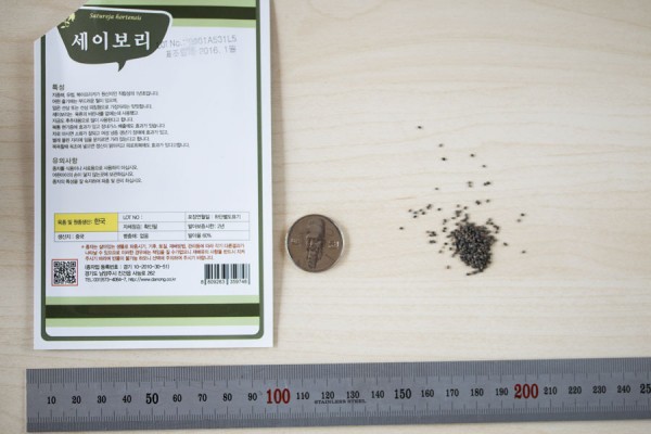 seed-04