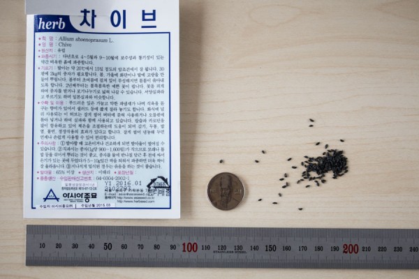 seed-05