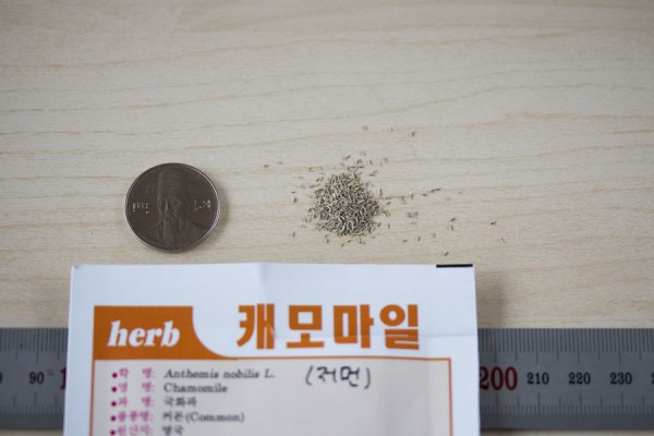 seed-06