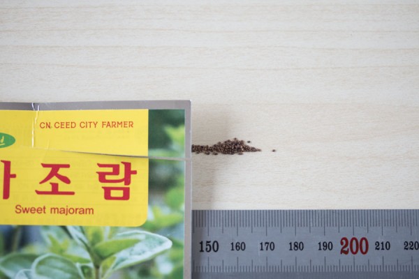 seed-08