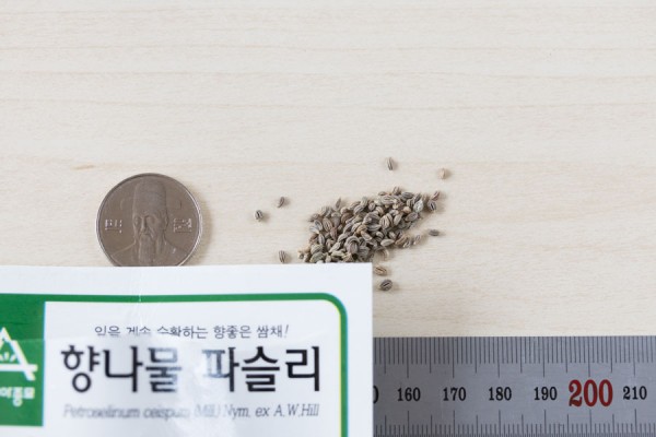 seed-09
