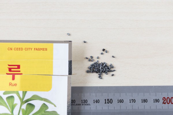 seed-10