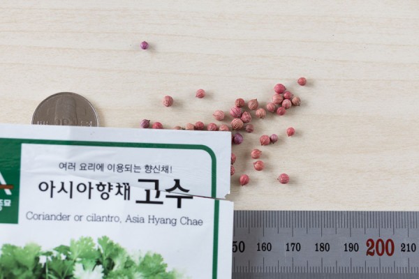 seed-12