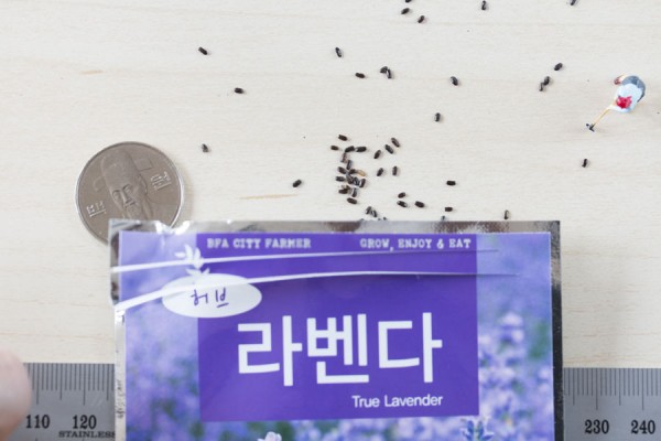 seed-16