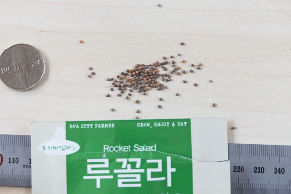 seed-17